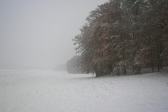 Killikus&reg; Fotographie